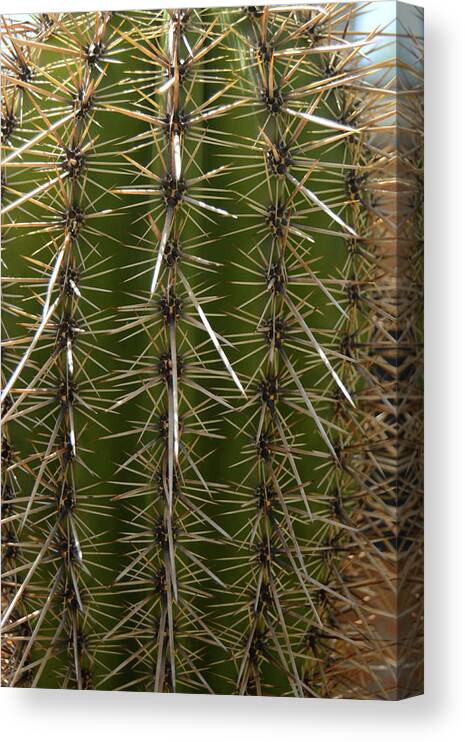 _dsc0108 Canvas Print featuring the photograph _dsc0108 #1 by Tom Kelly