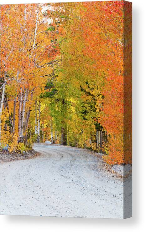 Agua Canvas Print featuring the photograph Fall Color Along Bishop Creek, Inyo #1 by Russ Bishop