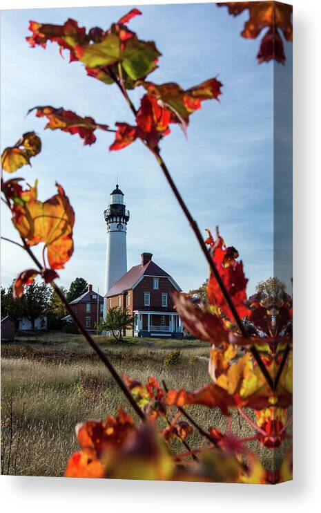 Colors Canvas Print featuring the photograph Fanlight #1 by Lee and Michael Beek