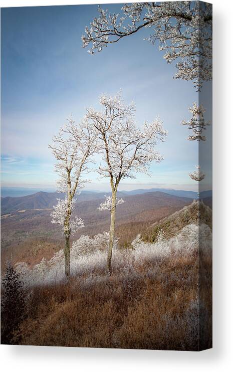 Blue Ridge Canvas Print featuring the photograph Hoarfrost Gathers #1 by Mark Duehmig