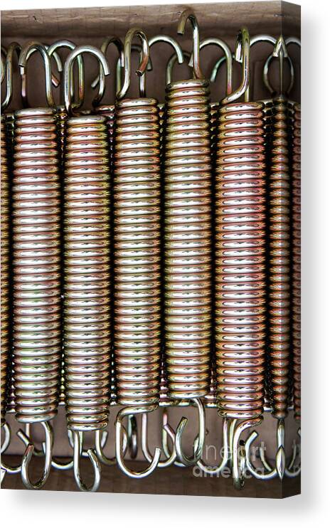 Absorber Canvas Print featuring the photograph Metal springs #1 by Tom Gowanlock