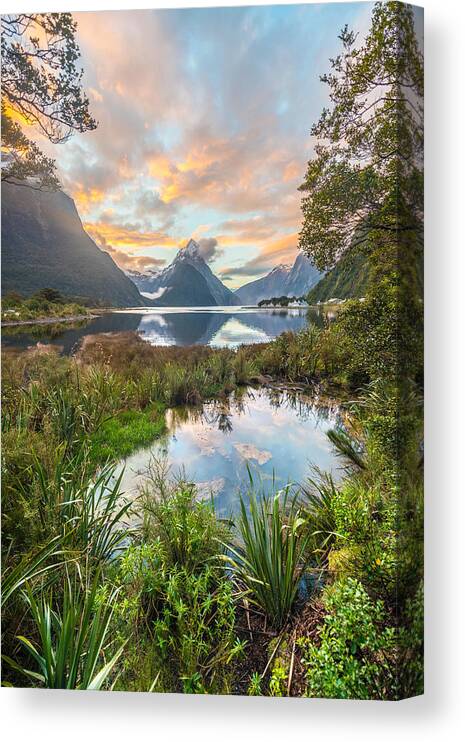 Landscapes Canvas Print featuring the photograph Mitre Peak, Sunset, Milford Sound #1 by Moritz Wolf