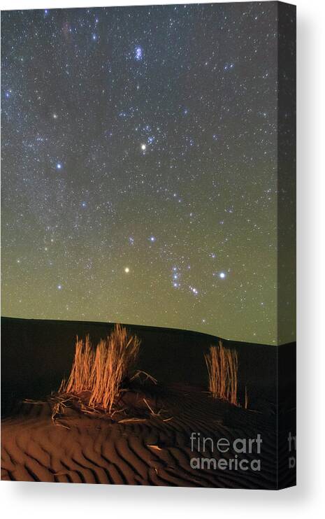 Nobody Canvas Print featuring the photograph Night Sky Over Desert #1 by Amirreza Kamkar / Science Photo Library
