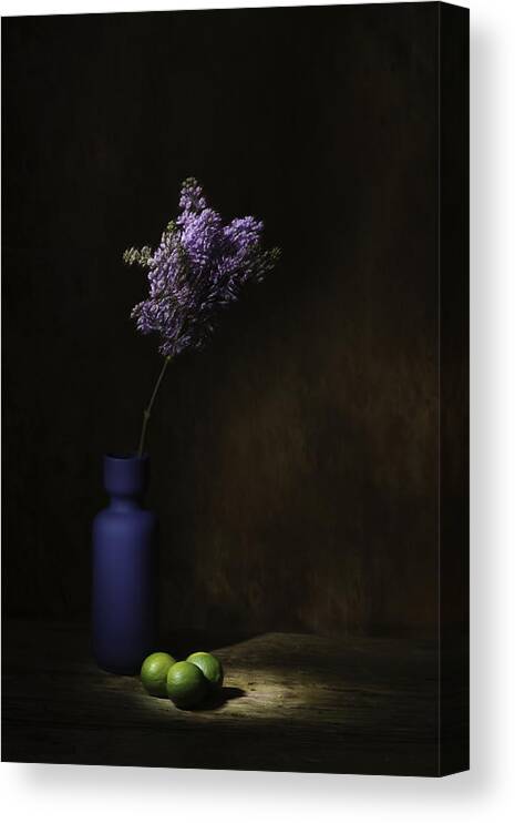 Flower Canvas Print featuring the photograph Springtime by Saskia Dingemans