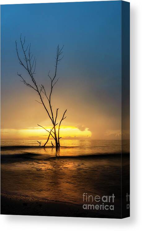 Dead Canvas Print featuring the photograph Summer Tide #2 by Marvin Spates