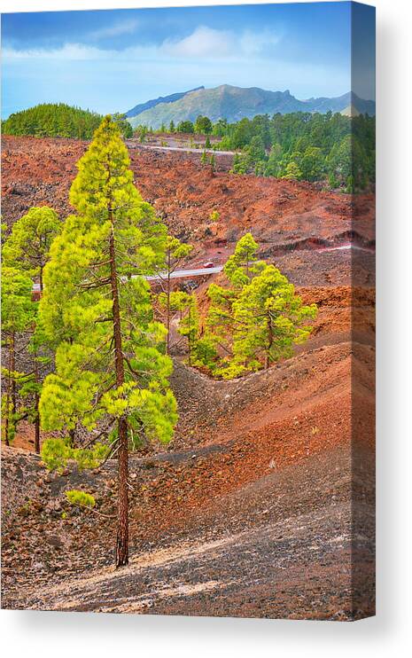 Landscape Canvas Print featuring the photograph Volcanic Landscape, Teide National #1 by Jan Wlodarczyk