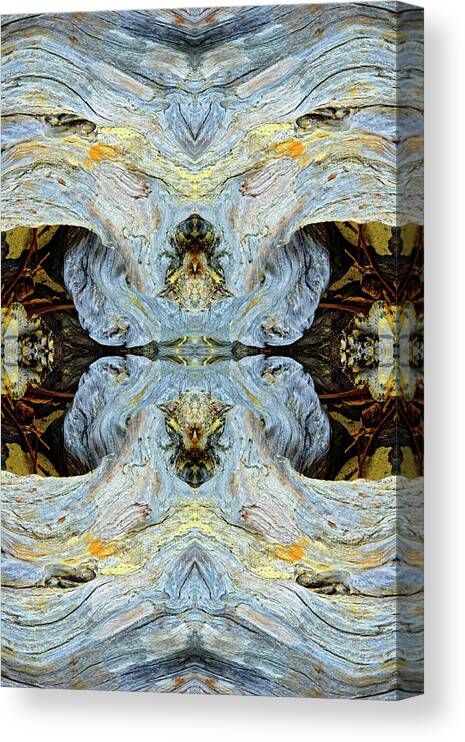 Abstract Canvas Print featuring the photograph Abstract Pattern In Driftwood, Bandon #2 by Adam Jones