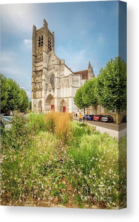 Saint-etienne D'auxerre Canvas Print featuring the photograph Auxerre #2 by JR Photography