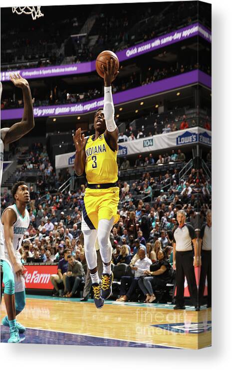 Aaron Holiday Canvas Print featuring the photograph Indiana Pacers V Charlotte Hornets by Brock Williams-smith