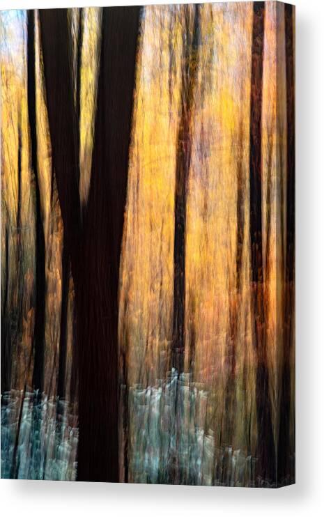 Forestabstract Canvas Print featuring the photograph Painterly Abstract Motion Blur #2 by Bill Gozansky