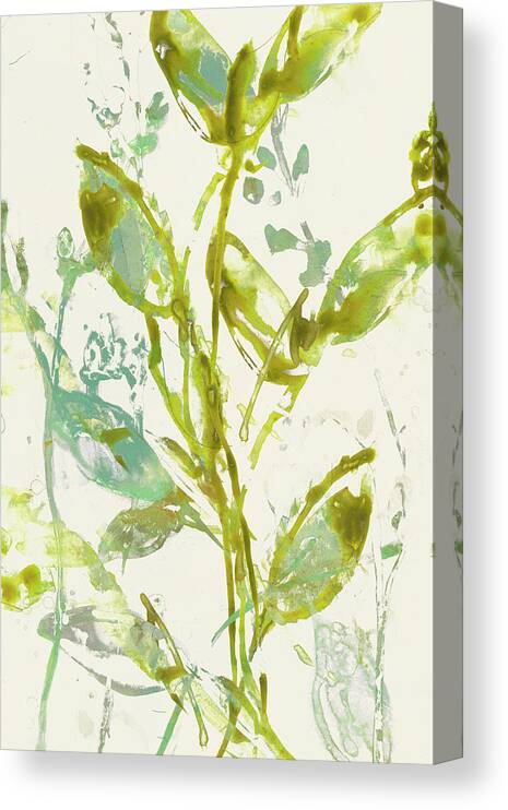 Abstract Canvas Print featuring the painting Watercolor Leaves I #2 by Jennifer Goldberger