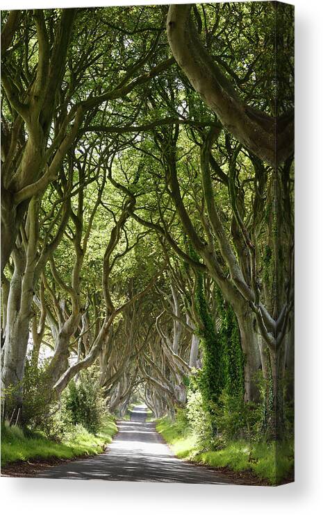 Tranquility Canvas Print featuring the photograph United Kingdom, Northern Ireland #3 by Westend61