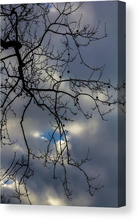 Branches And Clouds Canvas Print featuring the photograph Branches and Clouds #31 by Robert Ullmann