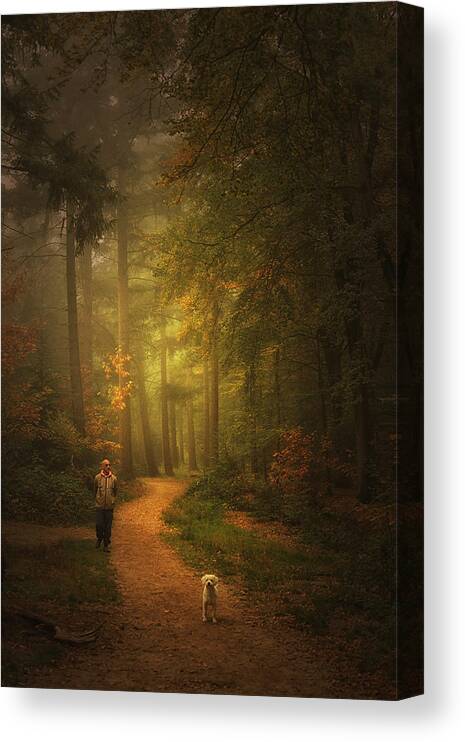 Mastbos Canvas Print featuring the photograph Autumn Dream #5 by Saskia Dingemans