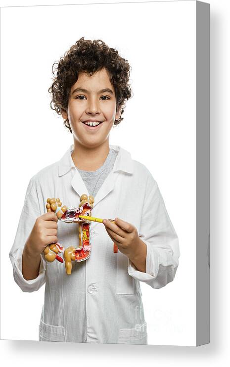 Boy Canvas Print featuring the photograph Future Doctor #53 by Peakstock / Science Photo Library
