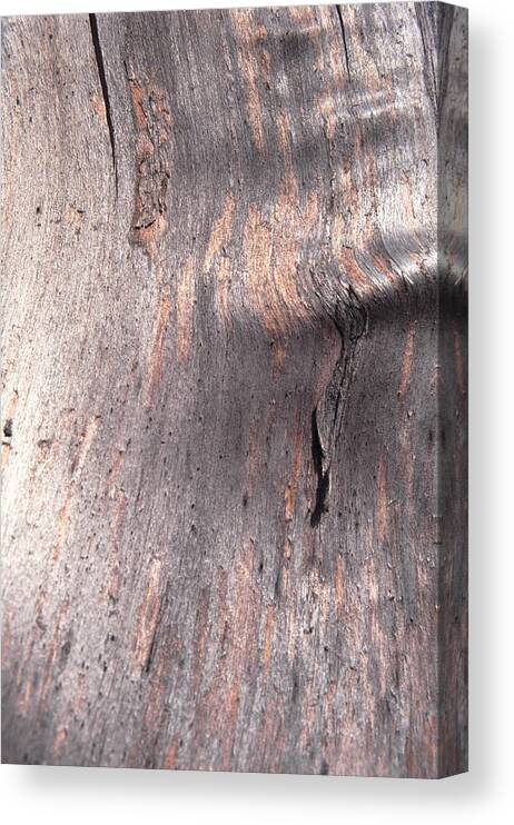 Built Structure Canvas Print featuring the photograph Tree Bark #8 by John Foxx