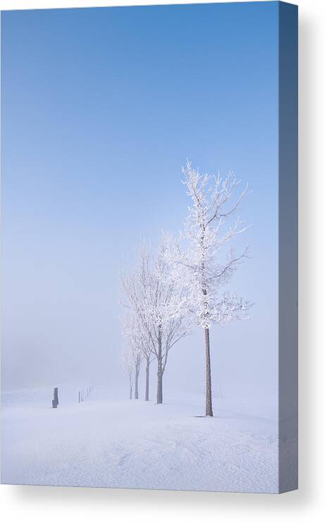 Fog Canvas Print featuring the photograph A Frozen Morning by Li Jian