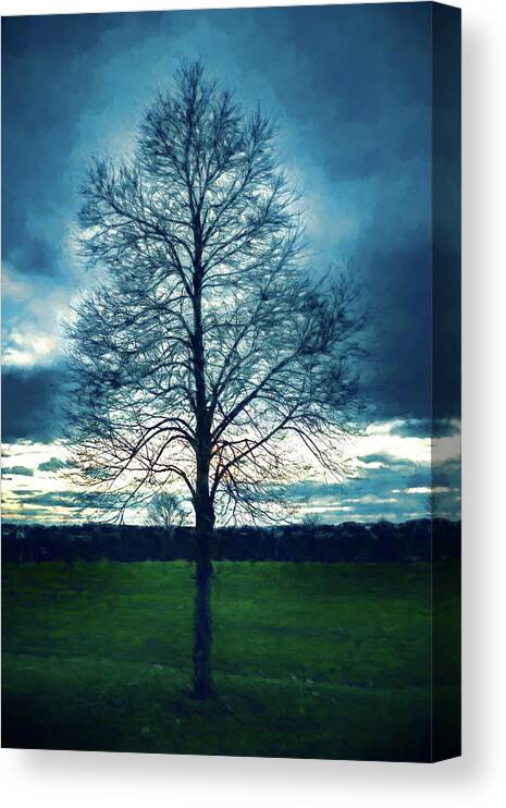 Tree Canvas Print featuring the digital art A Lone Tree in Winter by Jason Fink