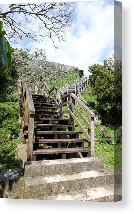 Stairway To Heaven Canvas Print featuring the photograph A long way up by Eric Hafner
