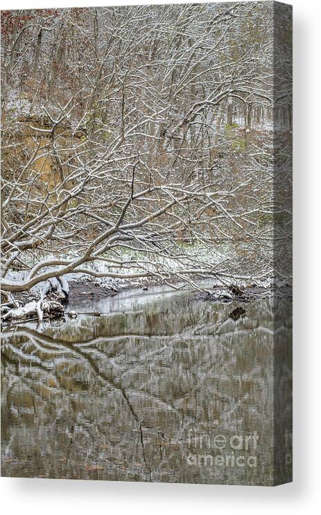 Trees Canvas Print featuring the photograph Abstract Snow Covered Trees by Tamara Becker