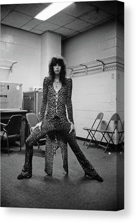 Singer Canvas Print featuring the photograph Aerosmith Live At Msg by Fin Costello