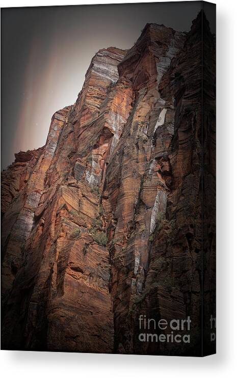 Zion National Park Canvas Print featuring the photograph Aged Mix Zion National Park by Chuck Kuhn
