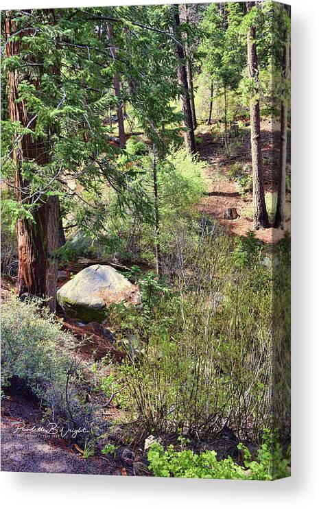 Top Canvas Print featuring the photograph Along The Castle Rock Trail by Paulette B Wright