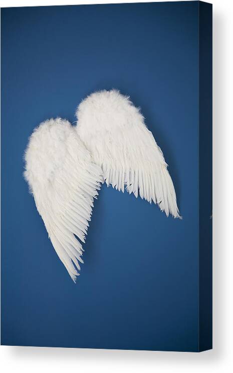 Concepts & Topics Canvas Print featuring the photograph Angel Wings by Ssuni