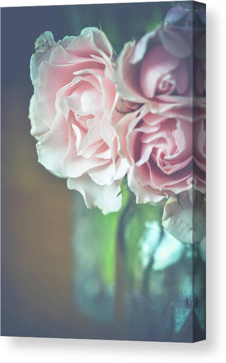 Pink Roses Canvas Print featuring the photograph Antique Roses by Michelle Wermuth