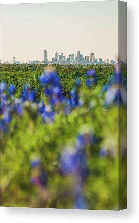 Dallas Canvas Print featuring the photograph April in Dallas by Peter Hull