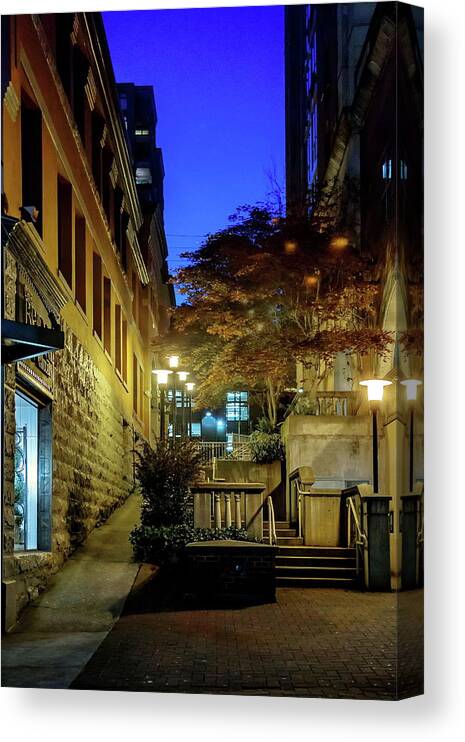 Alex Lyubar Canvas Print featuring the photograph At Night In The City by Alex Lyubar