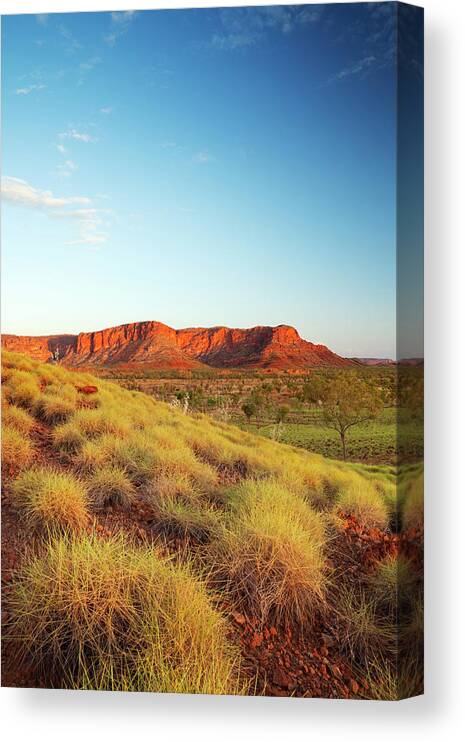 Scenics Canvas Print featuring the photograph Australian Landscape In Purnululu by Sara winter