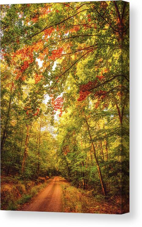 Autumn Canvas Print featuring the photograph Autumn Colorful Path by Philippe Sainte-Laudy