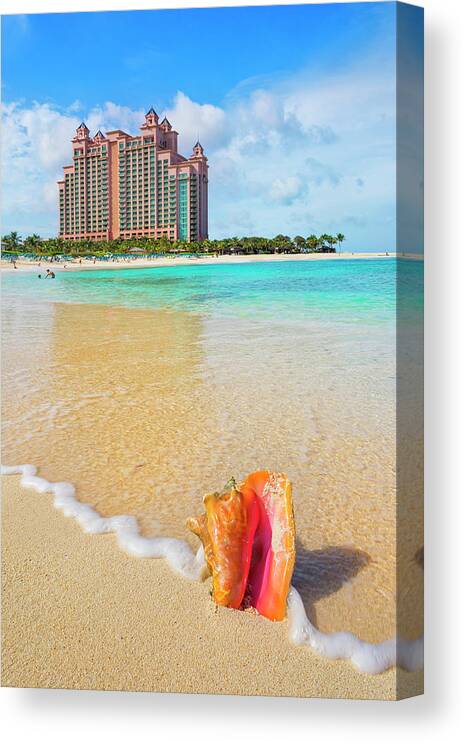 Estock Canvas Print featuring the digital art Bahamas, Paradise Island, Caribbean Sea, Atlantic Ocean, Caribbean, Queen Conch Shell On The Cove Beach Of The Atlantis Resort by Pietro Canali