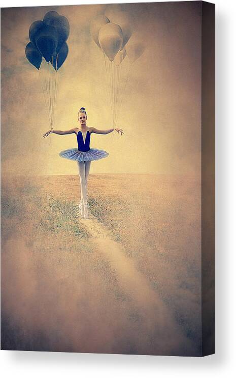 Life Canvas Print featuring the photograph Balance Of Life by Adela Lia Rusu