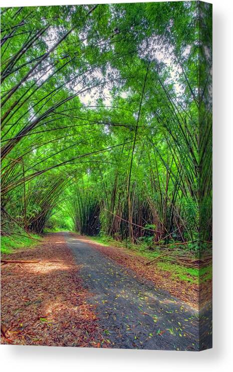 Bamboo Cathedral Canvas Print featuring the photograph Bamboo Cathedral 2 by Nadia Sanowar