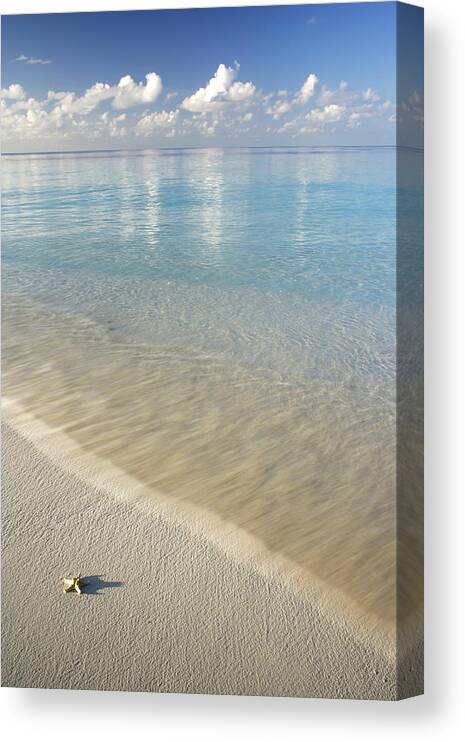 Water's Edge Canvas Print featuring the photograph Beach And Ocean by Peter Cade