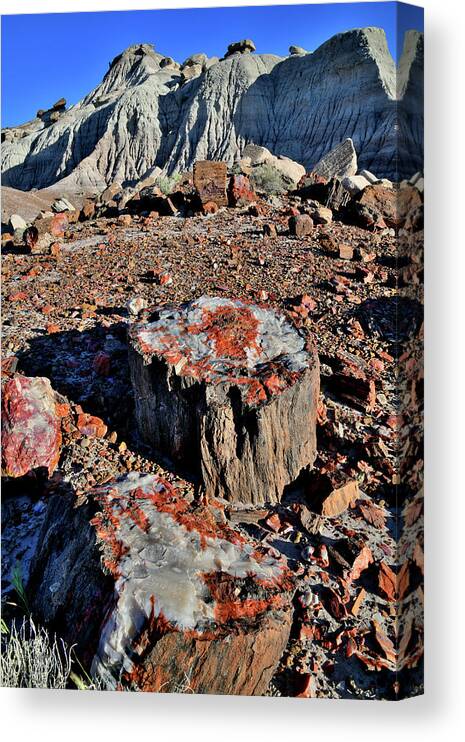 Petrified Forest National Park Canvas Print featuring the photograph Beautiful Stumps of Petrified Wood in Jasper Forest by Ray Mathis