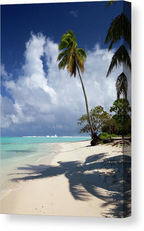 Shadow Canvas Print featuring the photograph Beauty Of The Cook Islands by Simonbradfield
