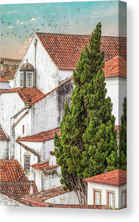 Castle Canvas Print featuring the photograph Birds Over Obidos by David Letts