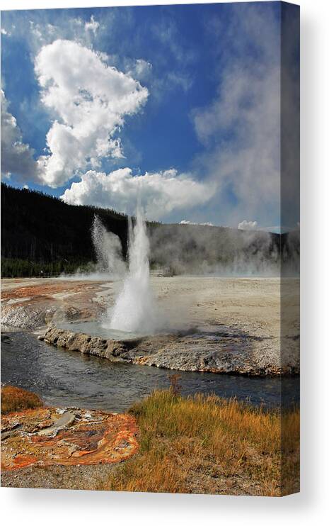 Grass Canvas Print featuring the photograph Biscuit Basin, Yellowstone Np by Yi Jiang Photography