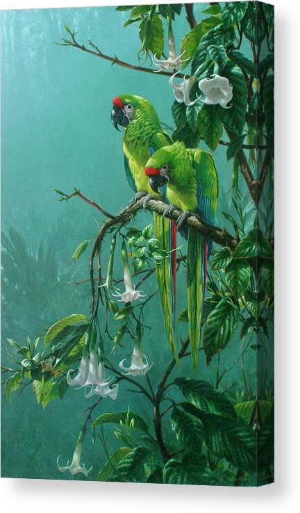 #faatoppicks Canvas Print featuring the digital art Buffons Macaws by Michael Jackson