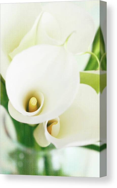 Calla Lily Canvas Print featuring the photograph Calla Lilies In Vase With Texture by Dhmig Photography