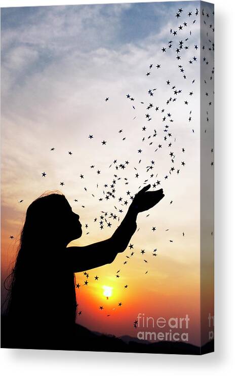 Silhouette Canvas Print featuring the photograph Catching Stars by Tim Gainey