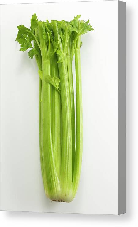 White Background Canvas Print featuring the photograph Celery by David Bishop Inc.
