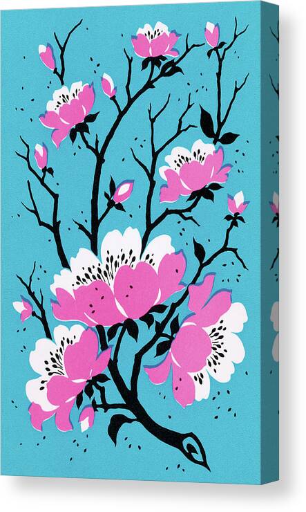 Bloom Canvas Print featuring the drawing Cherry Blossoms by CSA Images