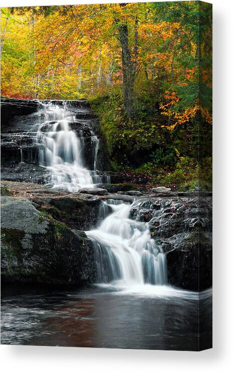 Allegheny Canvas Print featuring the photograph Choke Creek Falls by Michael Gadomski