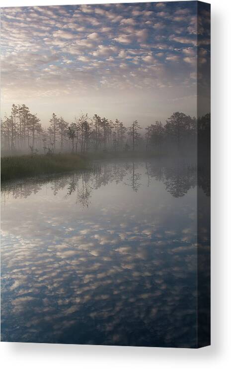 Scenics Canvas Print featuring the photograph Cloudscape by Andrei Reinol Landscapes