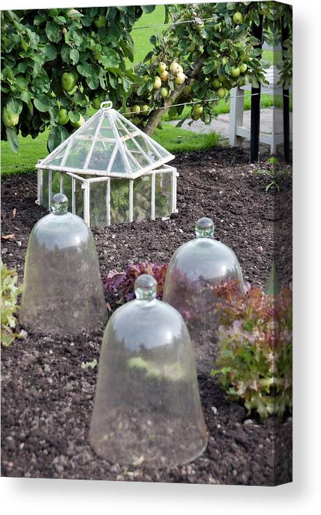 English Culture Canvas Print featuring the photograph Cold Frame by Brettcharlton