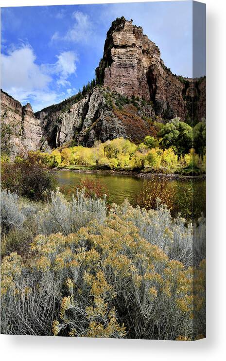  Canvas Print featuring the photograph Colorado River Aspens in Color by Ray Mathis